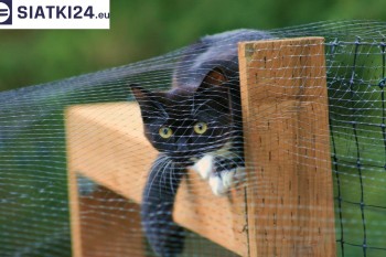 Siatki Kętrzyn - Dobra siatka balkonowa - na ptaki i dla kota dla terenów Kętrzyna