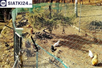 Siatki Kętrzyn - Siatka na woliery - zabezpieczenia ptaków w hodowli dla terenów Kętrzyna